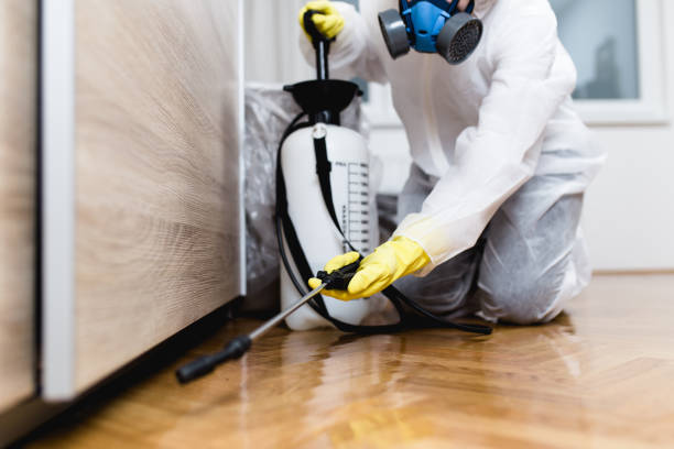 Best Cockroach Control Services  in Punxsutawney, PA