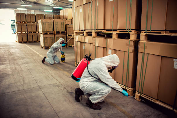 Best Wasp Removal Services  in Punxsutawney, PA