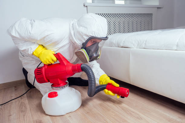 Best Best Pest Control Companies  in Punxsutawney, PA