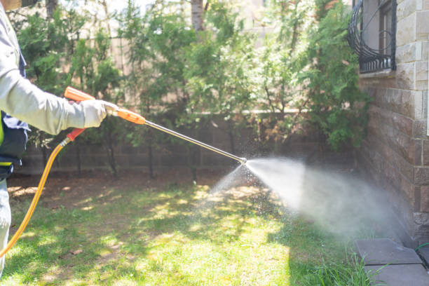 Reliable Punxsutawney, PA Pest Control Solutions