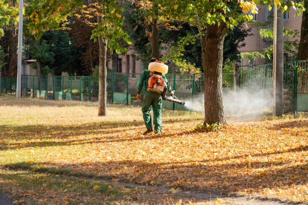 Best Best Pest Control Companies  in Punxsutawney, PA