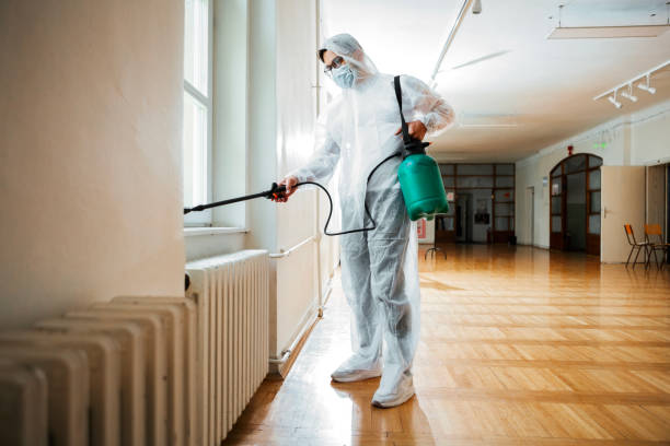 Best Mosquito Control Services  in Punxsutawney, PA